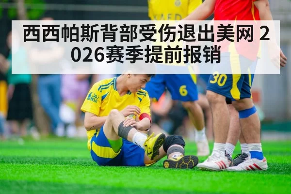 西西帕斯背部受伤退出美网 2026赛季提前报销 - hth